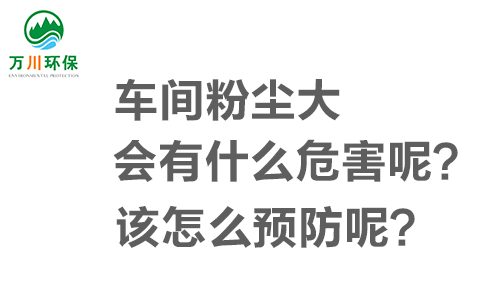 車間粉塵大會(huì)有什么危害呢？該怎么預(yù)防呢？